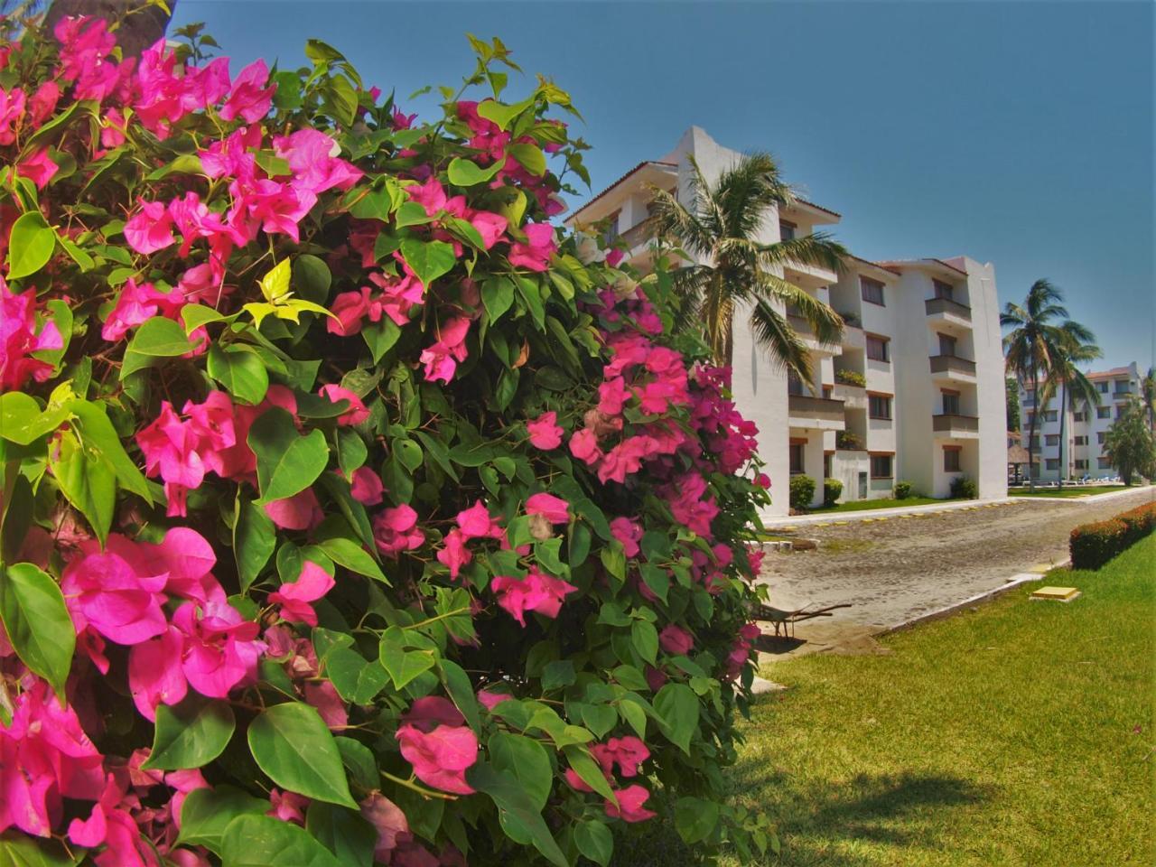 Suites Las Palmas Hotel Y Villas Мансанильо Экстерьер фото